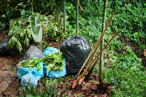 Plastic bags filled with plants refuse and waste stand on a yard after community cleanup event