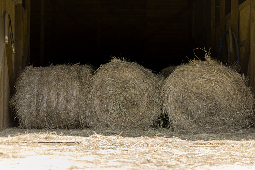 Haystack, a group of hay bales. Agricultural farm. The harvest period with dry hay, a pile of dry grass.