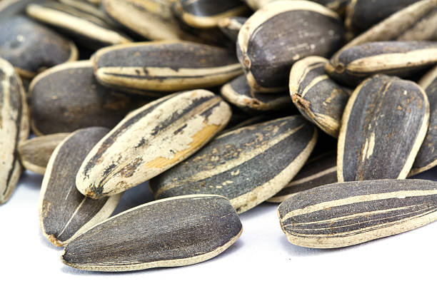 istock Close up sunflower seeds 154196642