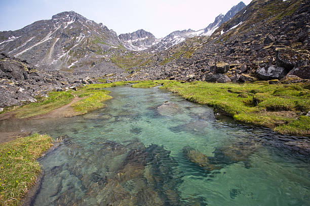 Alaska Mountain Stream stock photo