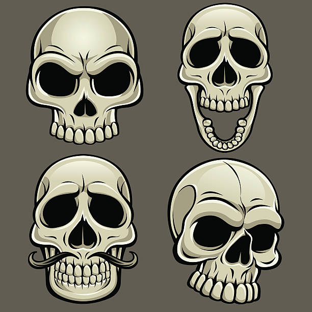 Cartoon Vector Skull Collection vector art illustration