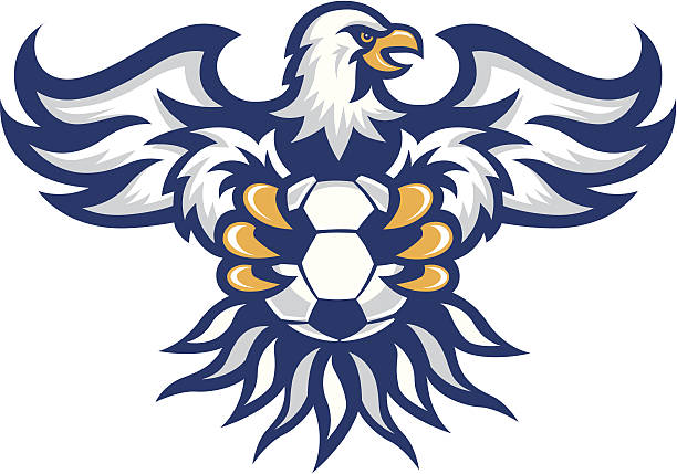 sport eagle – includes soccer, football, basketball and baseball - 猛爪 幅插畫檔、美工圖案、卡通及圖標