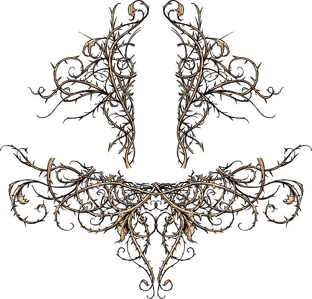 Thicket Scroll Design Accents Stock Illustration - Download Image Now -  Thorn, Thorn Bush, Vine - Plant - iStock