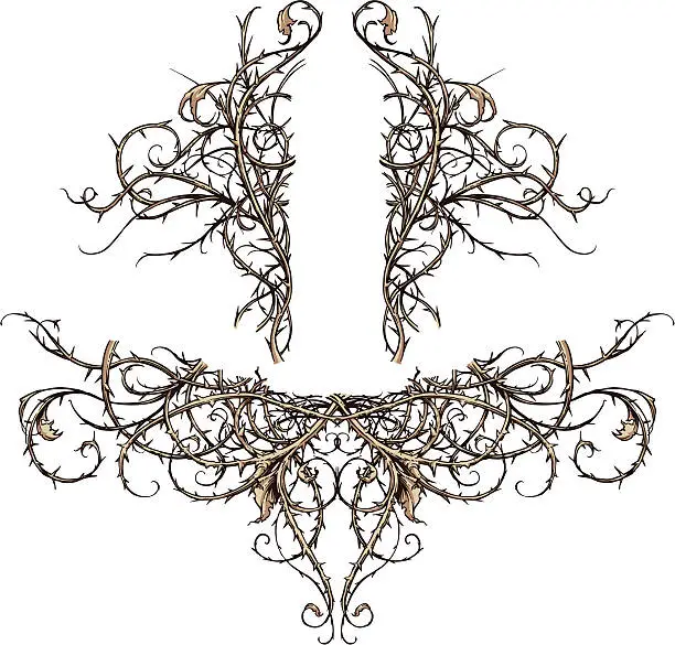 Vector illustration of Thicket Scroll Design Accents