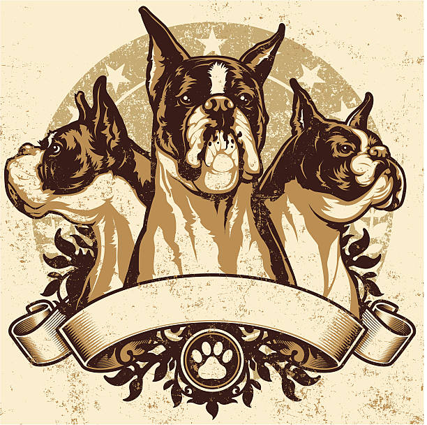 Boxer Crest Design vector art illustration