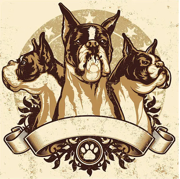 Vector illustration of Boxer Crest Design