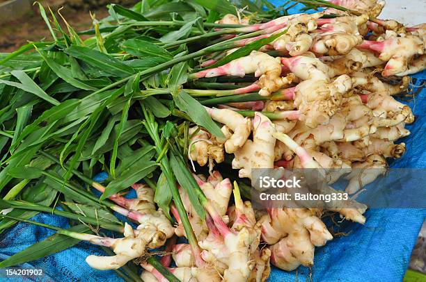 Background With Lots Of Ginger Roots Stock Photo - Download Image Now - Ginger - Spice, Plant, Root