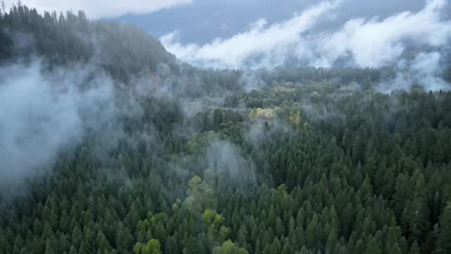 Flying over a fog covered forest in Oregon