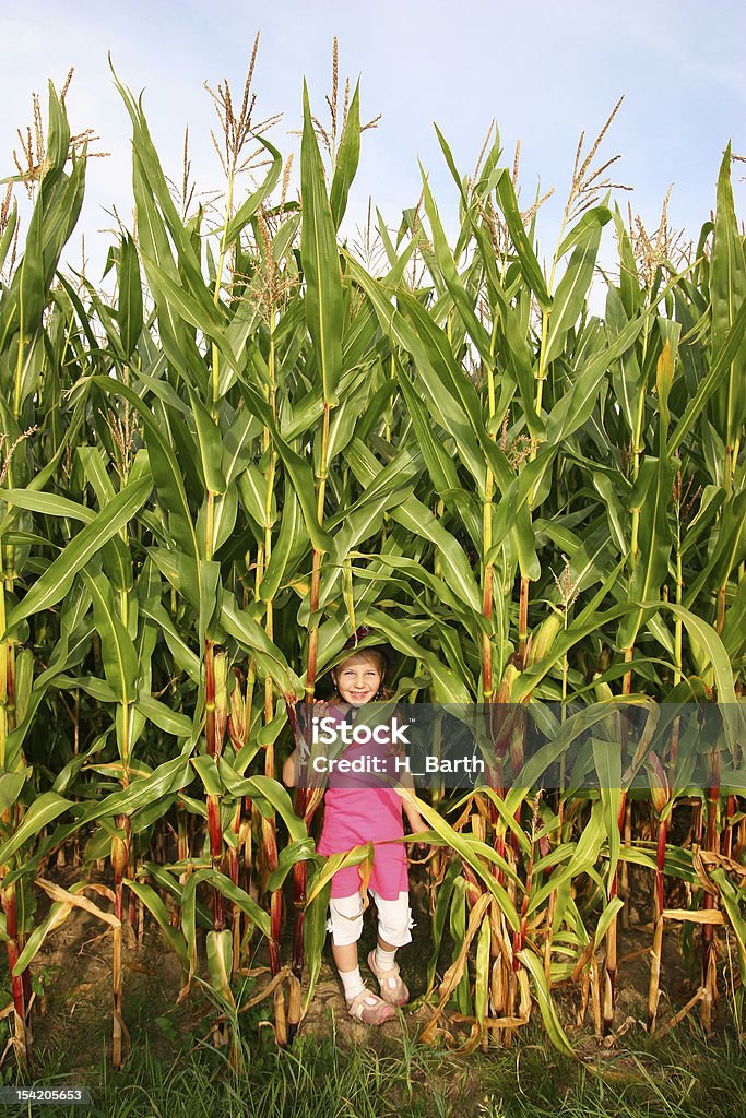 Menina em um cornfield - Foto de stock de Agricultura royalty-free