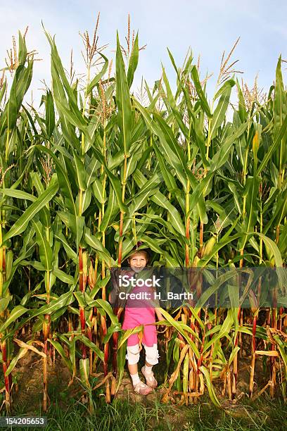 Foto de Menina Em Um Cornfield e mais fotos de stock de Agricultura - Agricultura, Brincalhão, Brincar