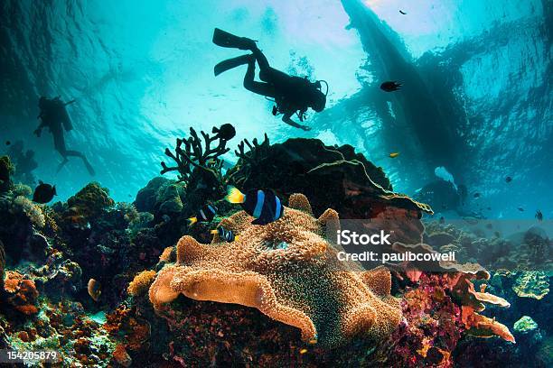 Busy Sea Scape Stock Photo - Download Image Now - Philippines, Scuba Diving, Underwater Diving