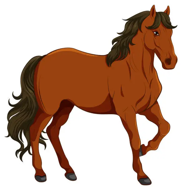 Vector illustration of Brown horse cartoon isolated