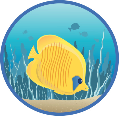 Fish Papillon Butterflyfish Poisson Papillon Stock Illustration - Download Image Now ...