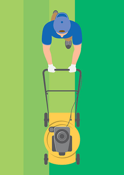 Overhead view of man mowing lawn vector art illustration