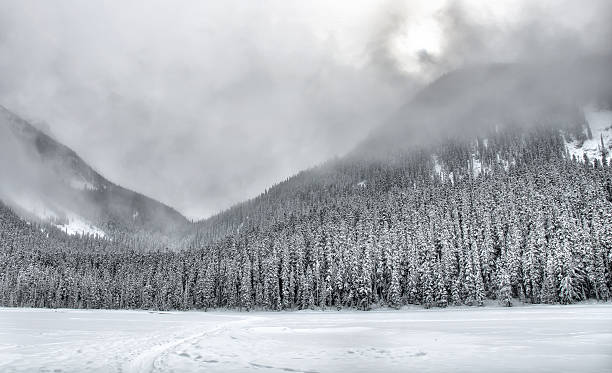 Overcast Snow Covered Mountain Trees stock photo