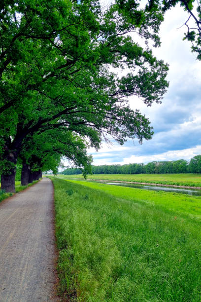 istock Beautiful trail for walks along the green meadow and river. 1542147932