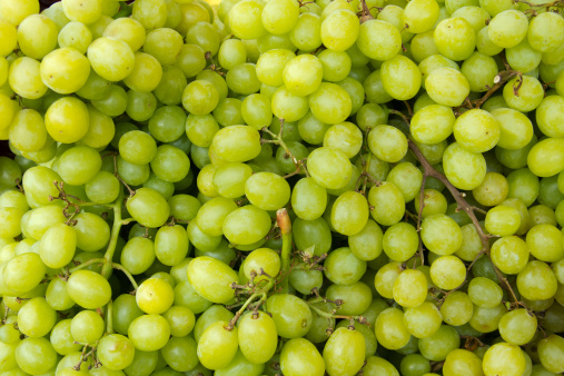 Close up of a large cluster of green grapes