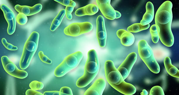 istock Bacteria and virus scientific background 1542155329