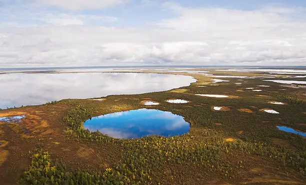 Freshwater lakes of Western Siberia. Khanty-Mansiysk Autonomous District.