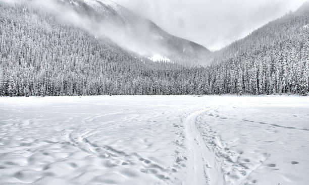 Frozen Lake with Sled Trail in Mountains stock photo