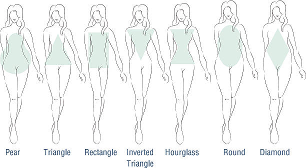 Tipos de corpo de moda - ilustração de arte vetorial