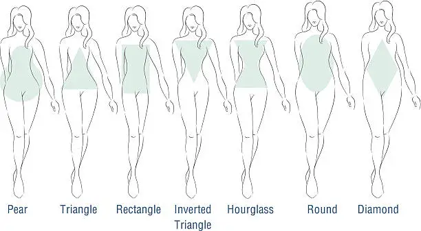 Vector illustration of Fashion Body Types