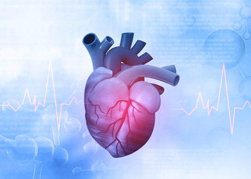 Human heart on scientific background. 3d illustration