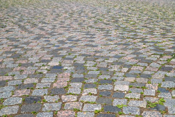 top view square tiles with green grass in the garden texture