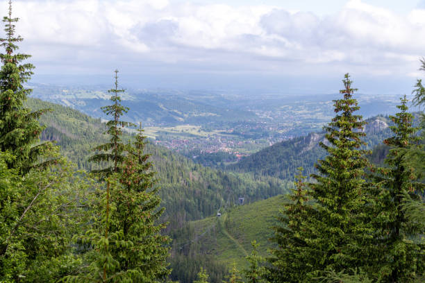 istock A city is visible through the trees on the left. 1542197237