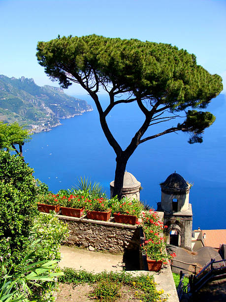 vista para a costa de amalfi no ravello, itália - parasol pine - fotografias e filmes do acervo