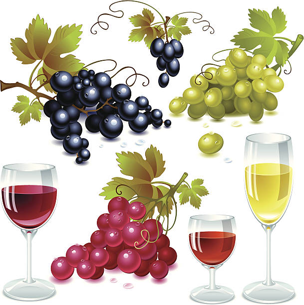 winogron i wina - red grape illustrations stock illustrations