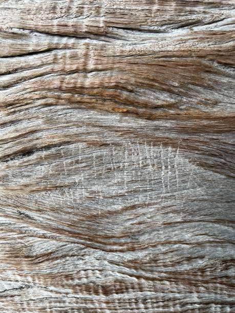 istock Old, rough, and scratched wooden background 1542223462