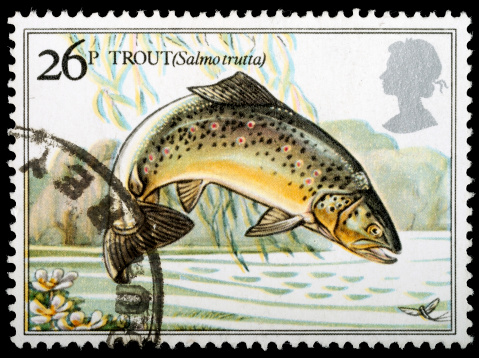 British Used Postage Stamp showing Brown Trout Fish, circa 1982