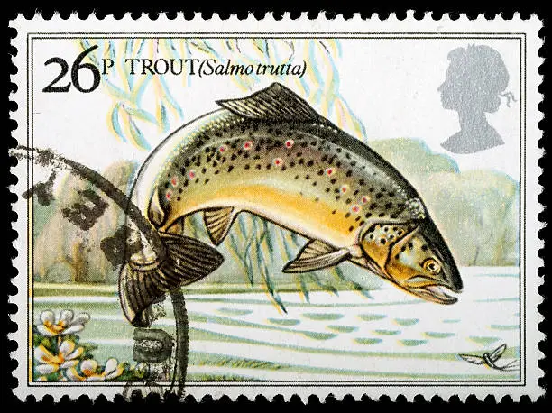 Photo of British River Fish Postage Stamp