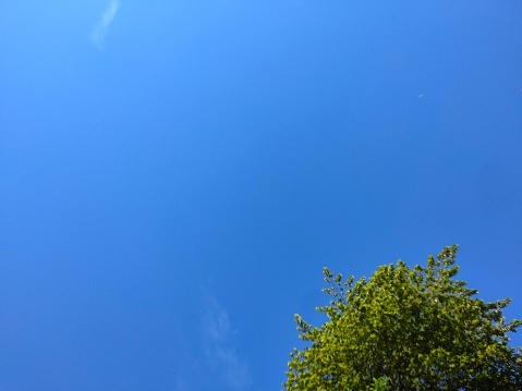 The photo captures the serene beauty of a vibrant blue sky stretching across the frame. The sky appears clear and boundless, with a few fluffy white clouds scattered delicately. Amidst the expanse of blue, the image reveals a glimpse of nature in the form of a handful of green tree leaves. These leaves, located in the lower portion of the photo, are partially visible, creating a subtle yet captivating contrast against the backdrop of the sky. The leaves add a touch of organic freshness to the composition, hinting at a lush landscape beyond the frame. Overall, the photo conveys a sense of tranquility and offers a serene connection to the natural world.