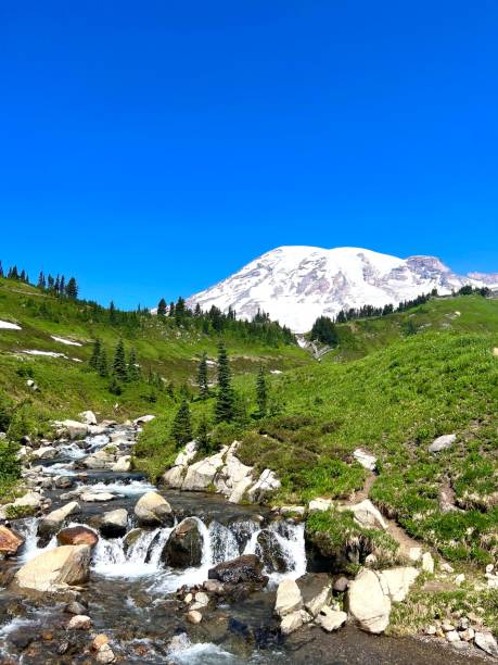 istock Majestic Mount Rainier surrounded by lush green grass with a river in the foreground 1542258347