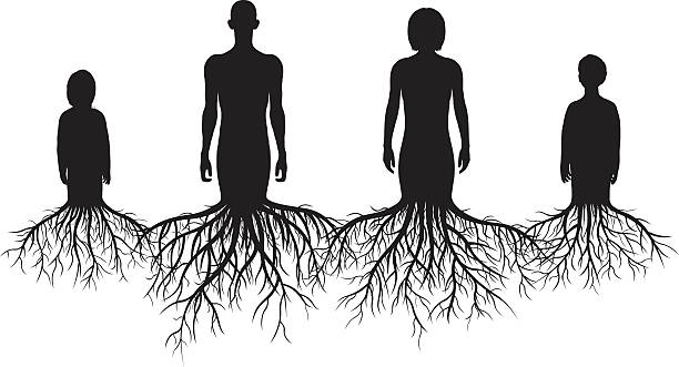 系図 - root origins growth plant点のイラスト素材／クリップアート素材／マンガ素材／アイコン素材