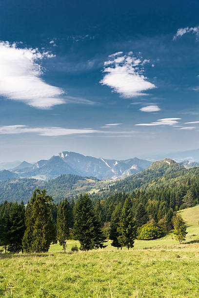 istock View of Mountain 
