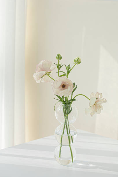 istock butterfly Ranunculus blooming Flower Bouquet 1542289454