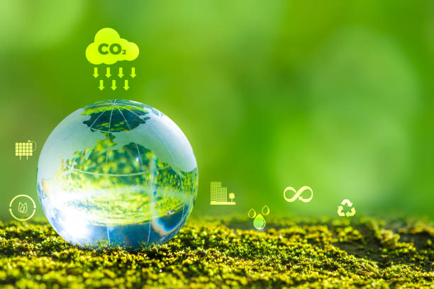 istock 3D illustration Renewable energy concept Earth Day or environmental protection Protect the forests that grow on the ground and help save the planet. 1542307938