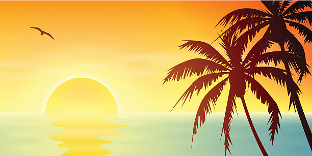 Tropical Sunset vector art illustration
