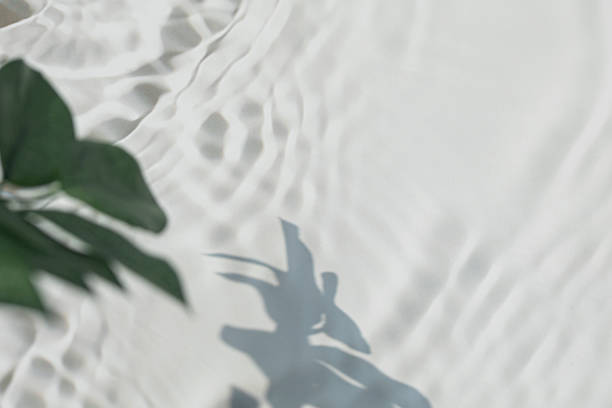 water texture background on the noon sunlight with tropical leaves shadow.