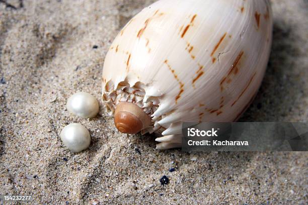 Photo libre de droit de Perles Et Extérieur banque d'images et plus d'images libres de droit de Bijou - Bijou, Biologie, Blanc