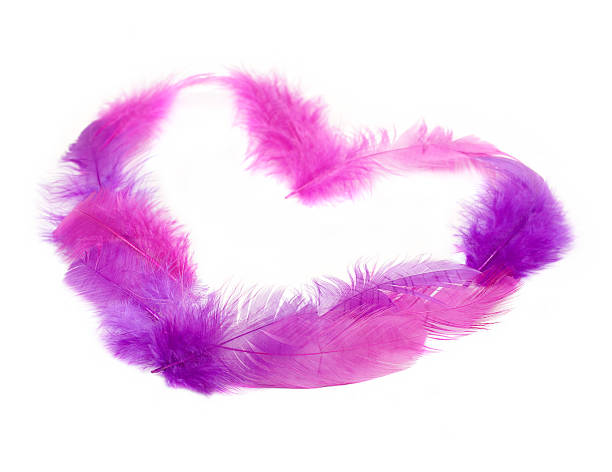 istock Heart in pink feathers. Soft focus. 154232619