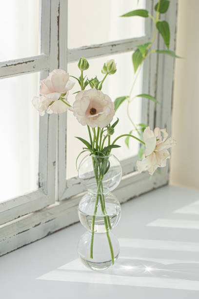 butterfly Ranunculus blooming Flower Bouquet