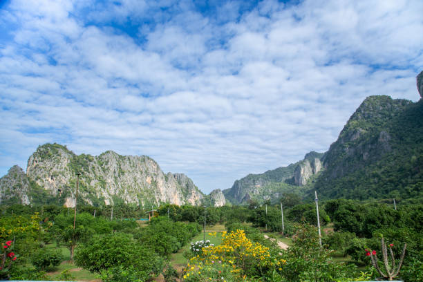 istock Rock of mountain and forest against. 1542335576