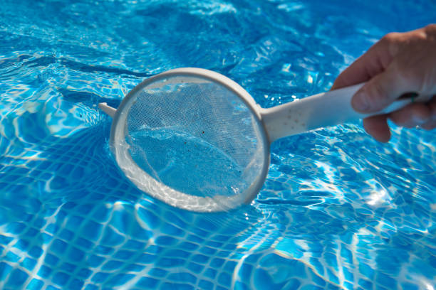 istock Cleaning the home pool from small insects 1542340359