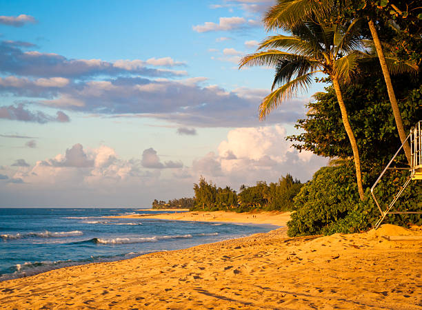 Hawaii Beach at Sunset stock photo