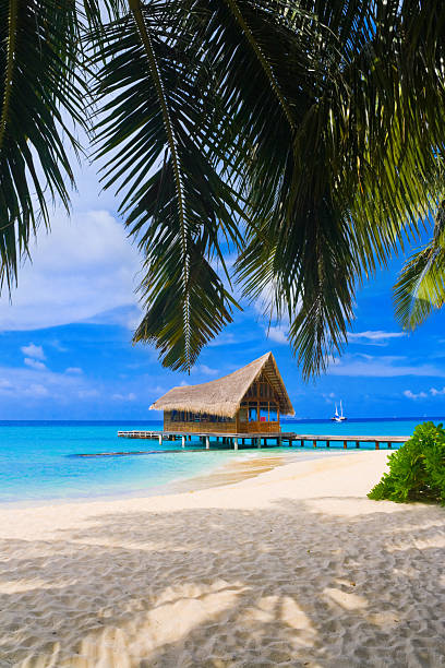 istock Diving club on a tropical island 154234324