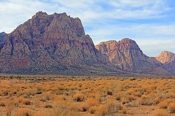 istock Landscape in Red Rock Canyon 154236911